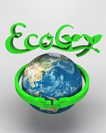 EcoGy